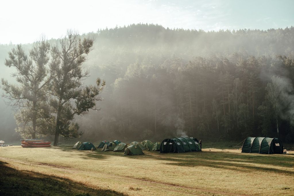 Tents pitched in an open field under low fog