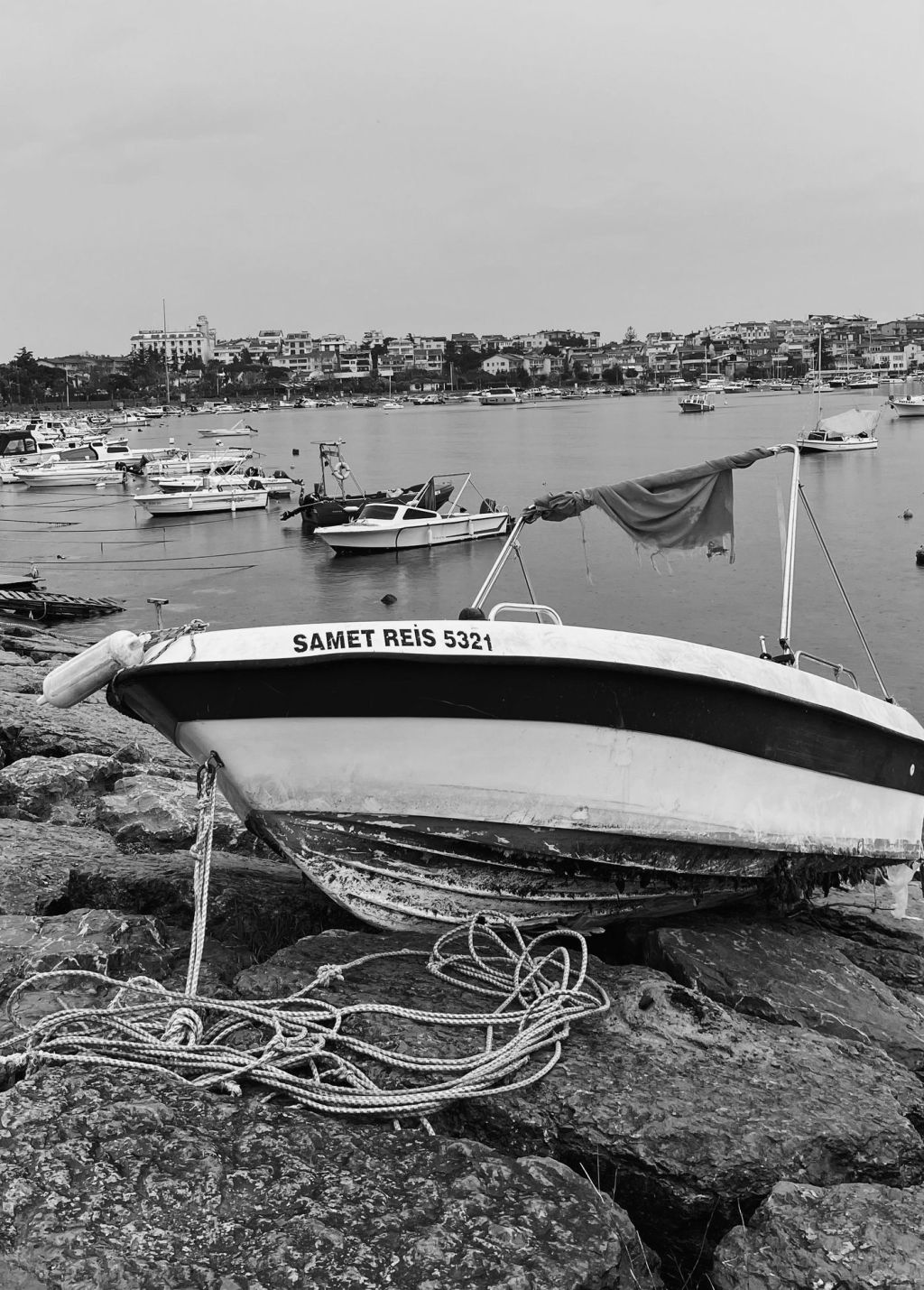 Small boats moored along a shoreline
