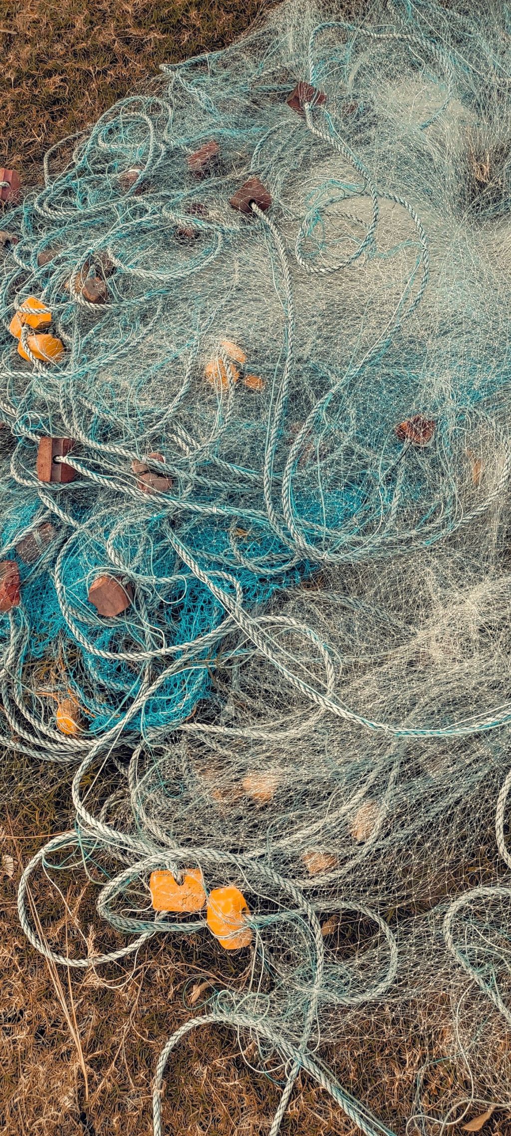 A tangle of fishing net and line