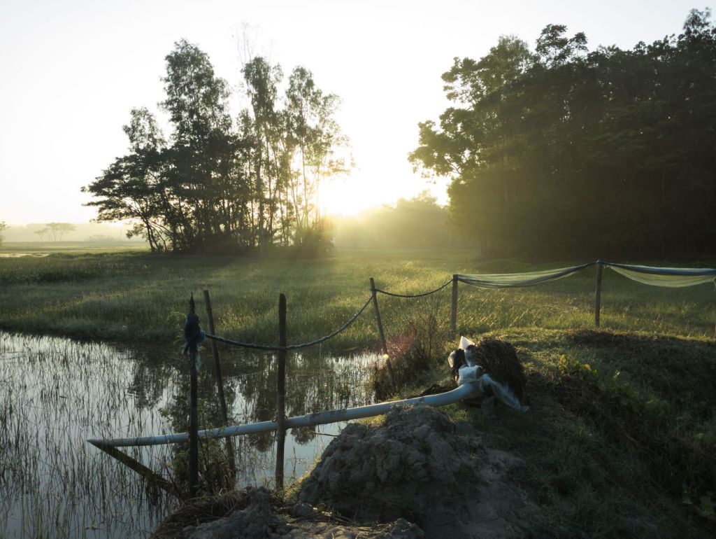 Mist over a river bank at sunrise
