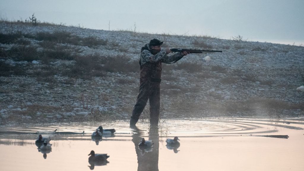 A hunter shouldering a shotgun over a decoy spread