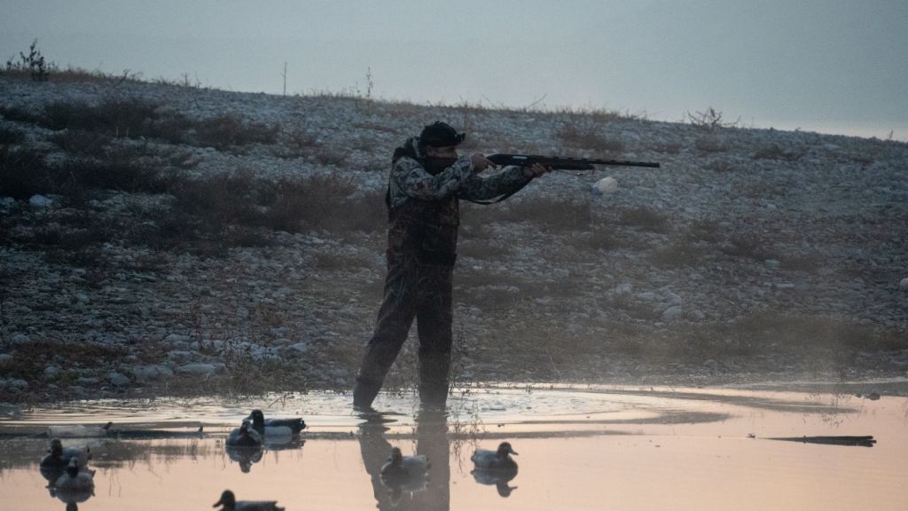 A waterfowl hunter shooting over decoys at first light