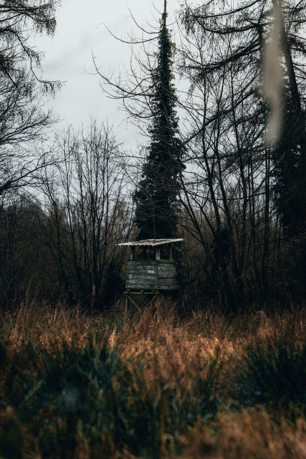 An elevated wooden hunting stand among bare trees in winter