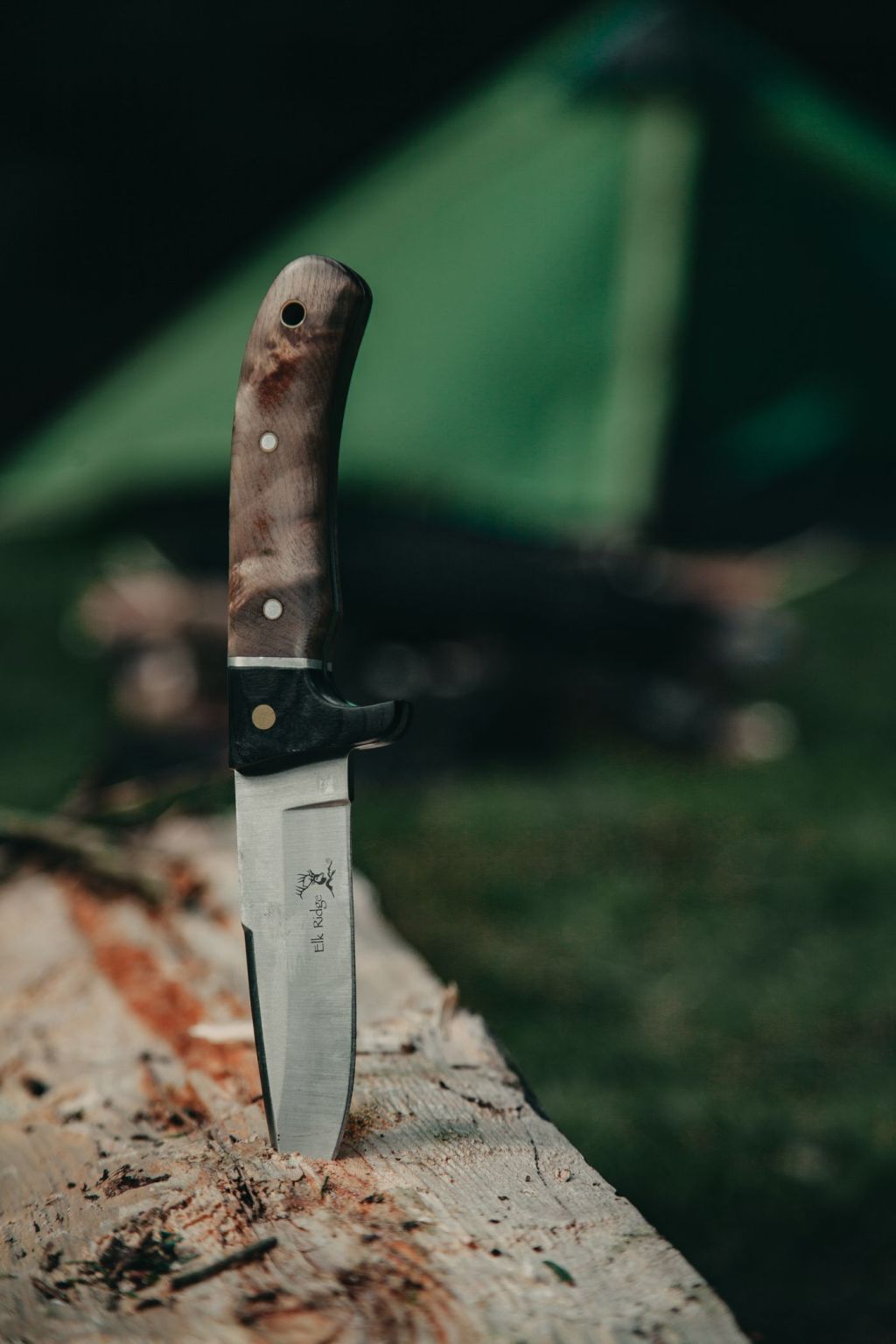 A fixed-blade knife with a wooden handle standing in a log