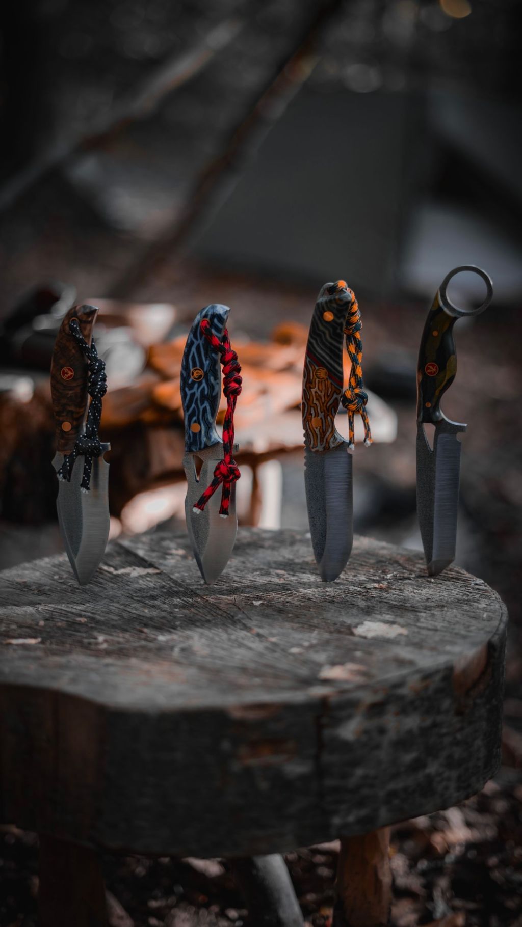 Four knives standing point-down in a weathered stump