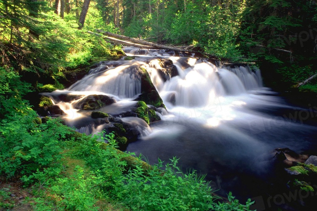 A creek running through Deschutes National Forest