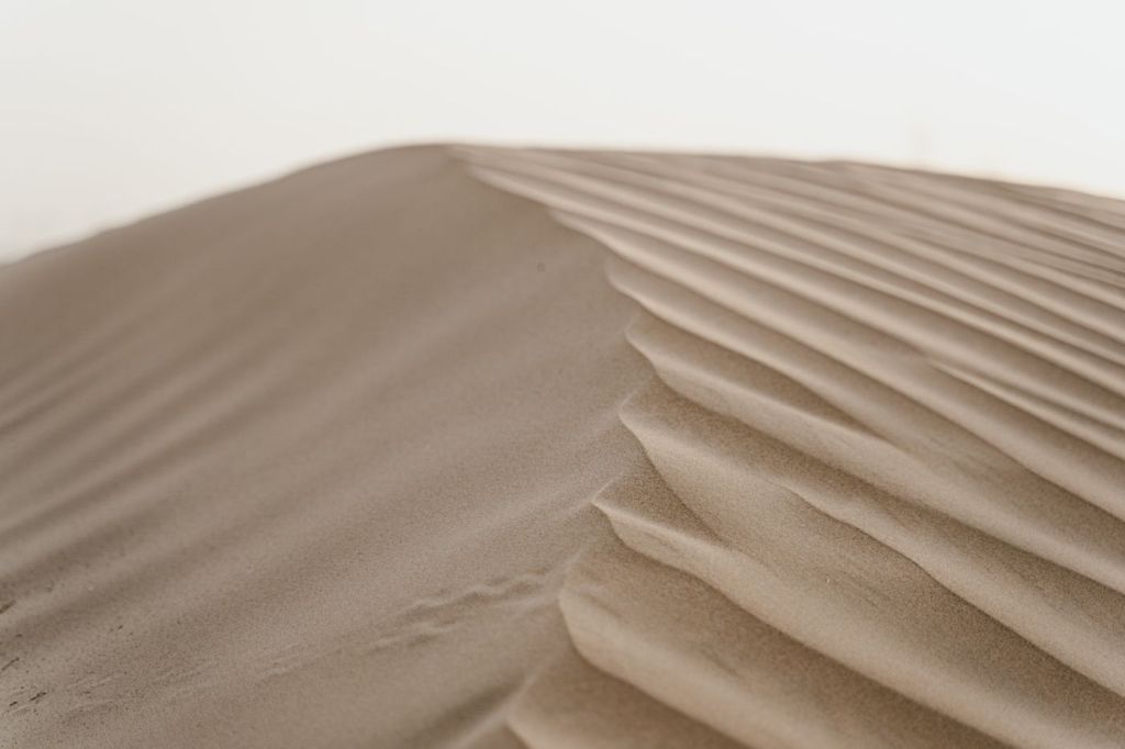 Wind-rippled sand on an empty dune
