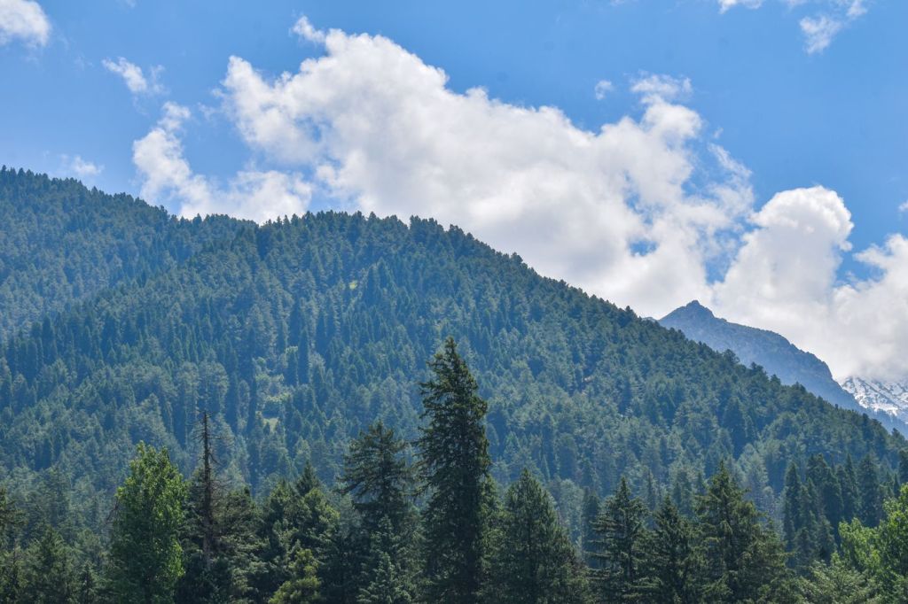 Forested mountain slopes under cloud