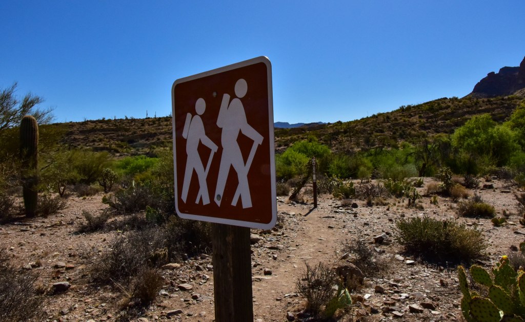 A hiker-symbol trail marker beside the Arizona National Scenic Trail