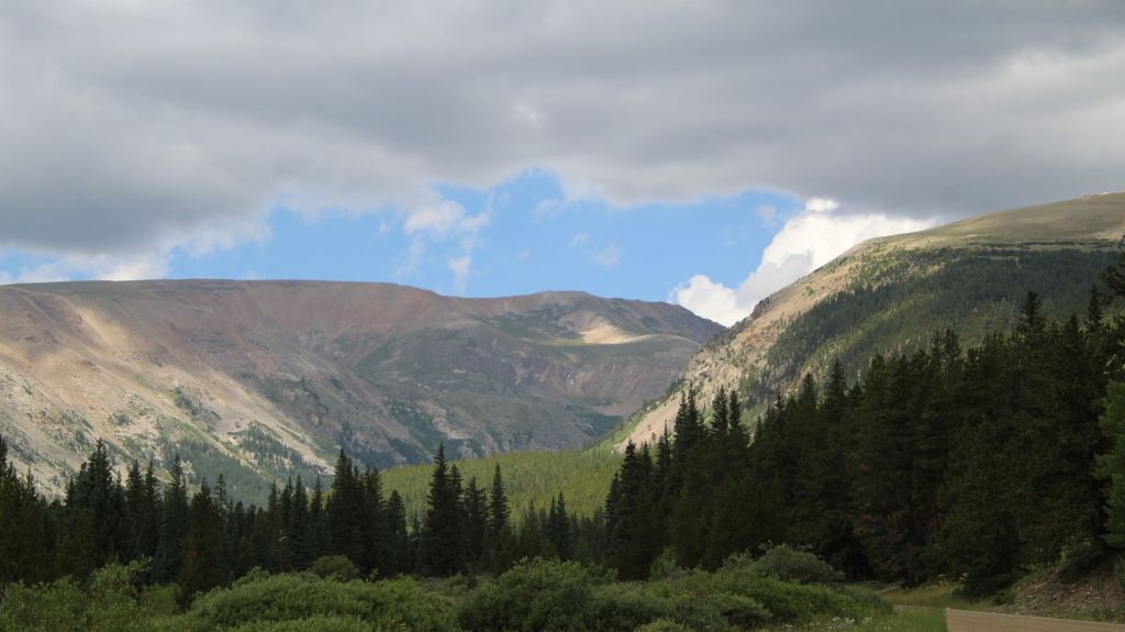 A forested mountain valley with conifers and no road visible