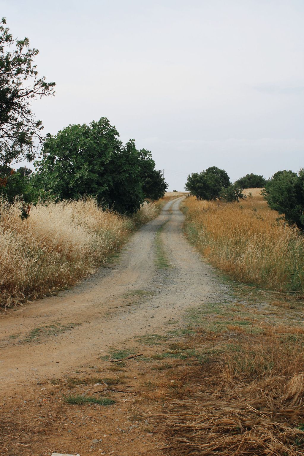A gravel road running between fields in open country