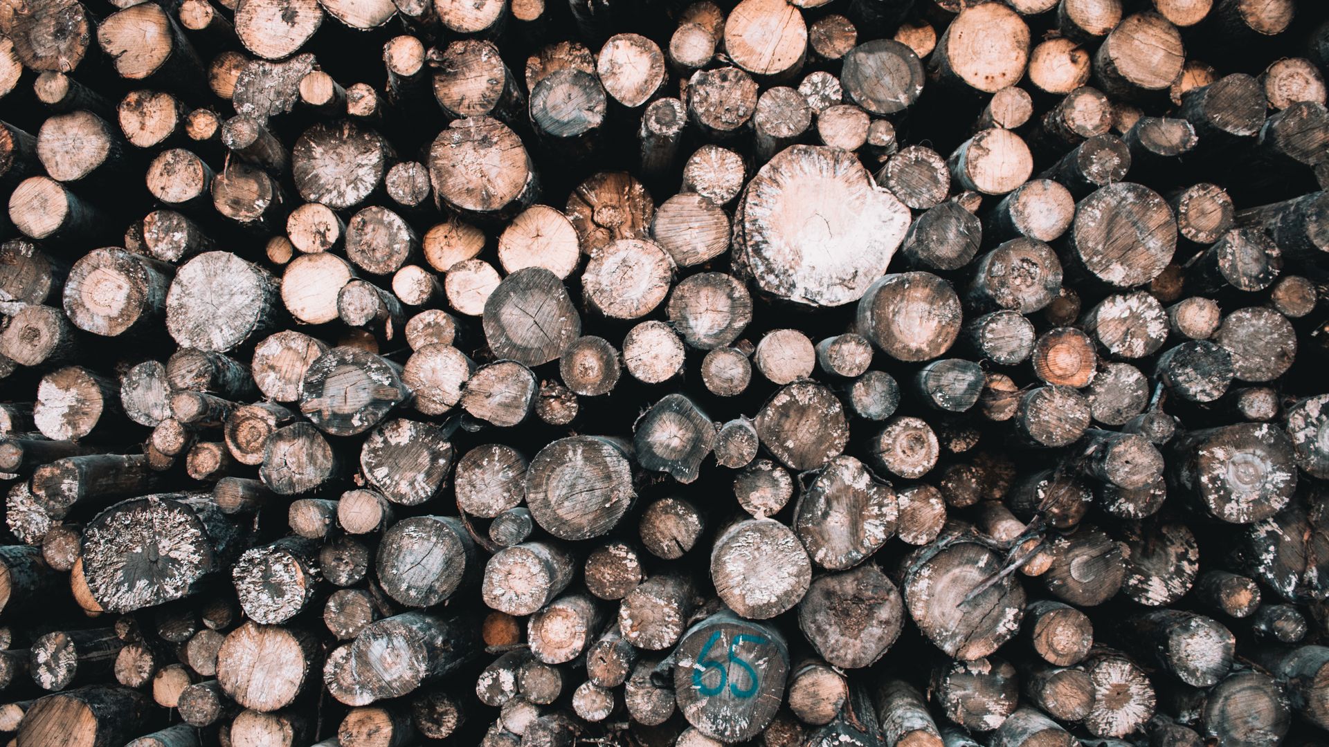 A neat stack of split firewood logs seen from above